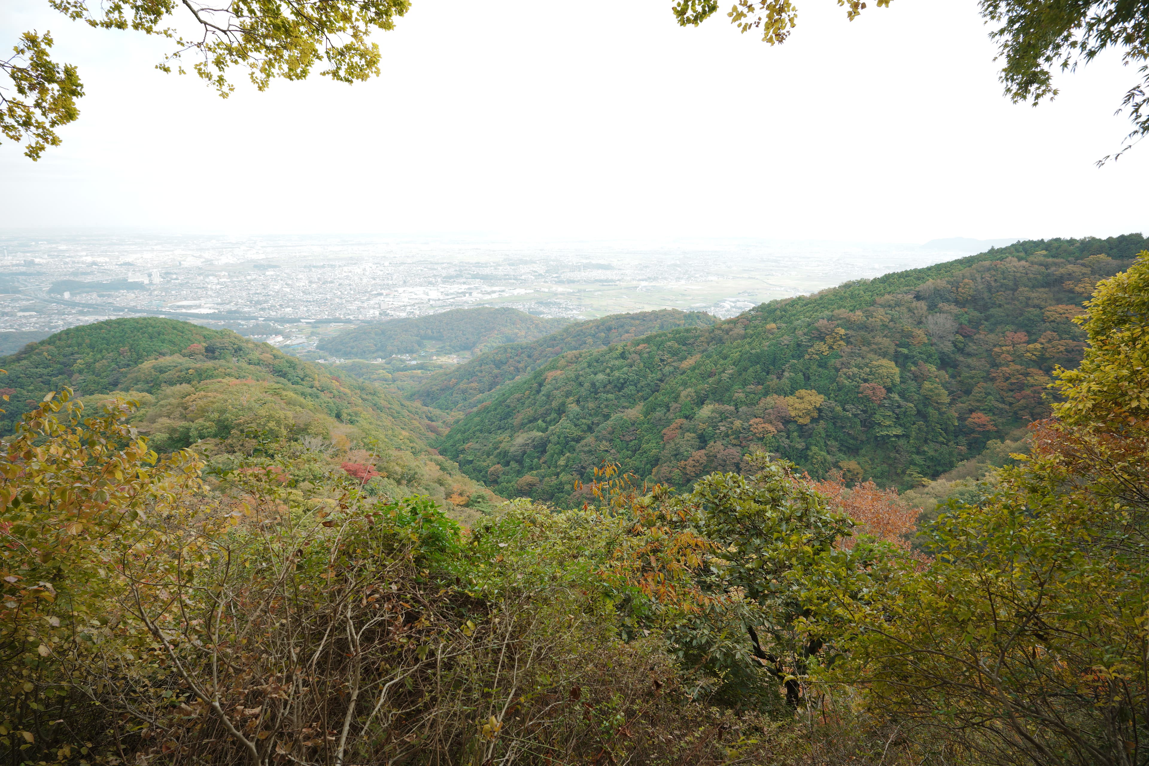 吾妻山-善波山-念仏山-高取山-聖峰