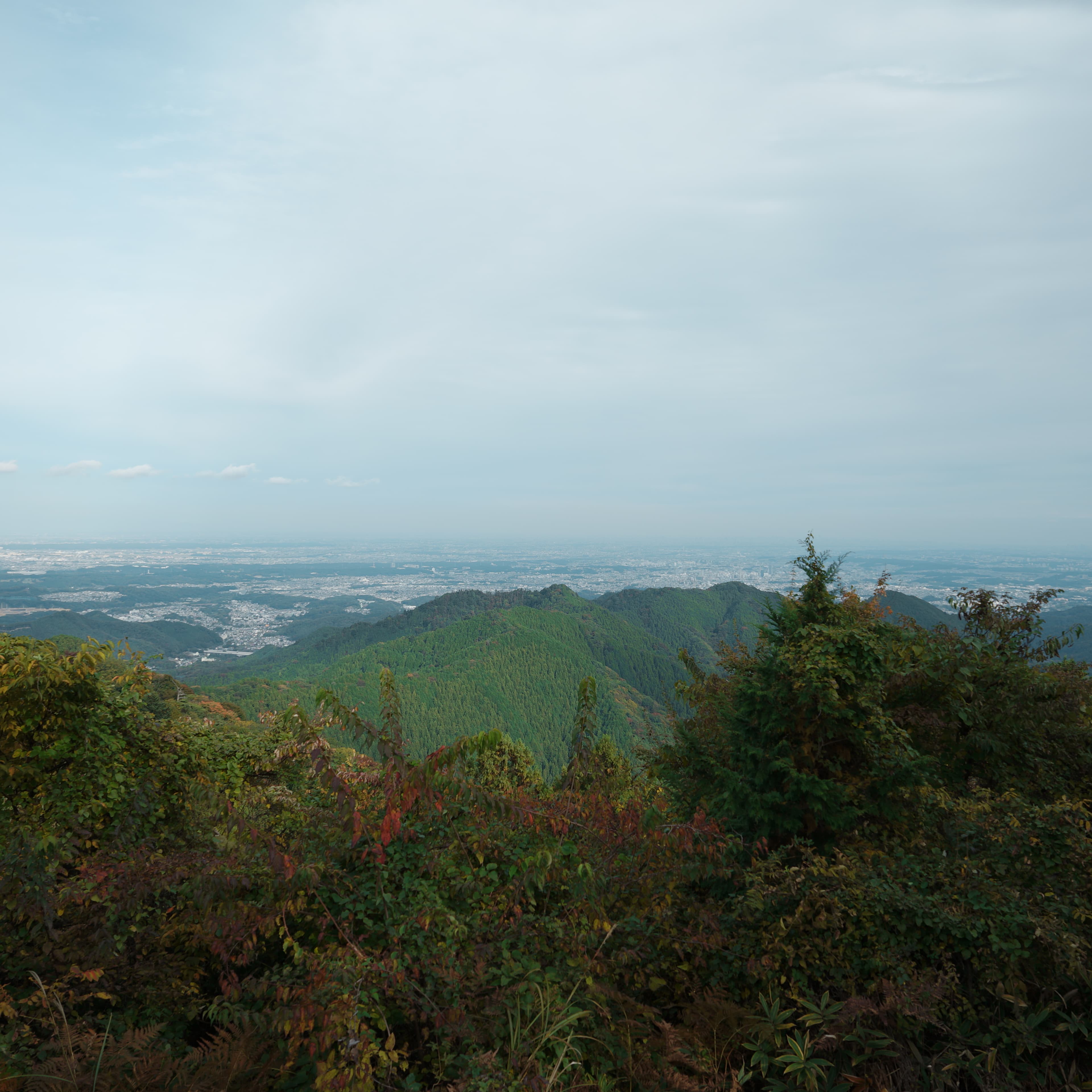 高尾駅 - 高尾山 - 城山 - 景信山 - 大久保山 - 日影バス停
